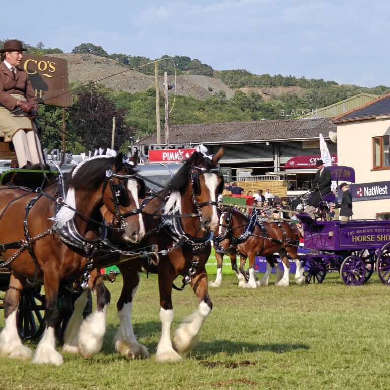 Royal Welsh Show